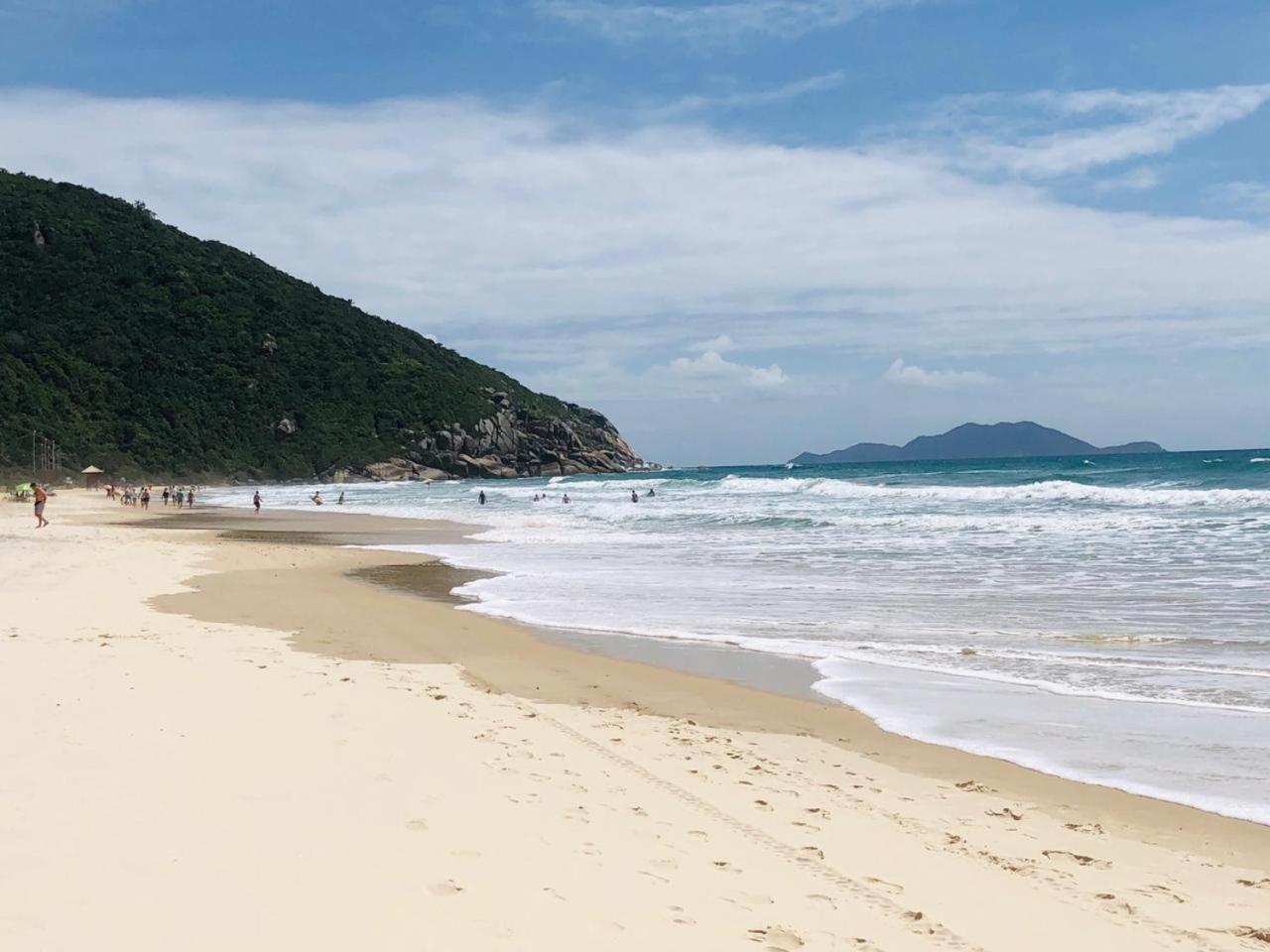 Ap Em Floripa 2 Quartos A 100m Da - Brava- Norte Da Ilha